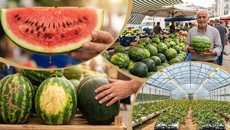 Market ve pazar tezgahlarına geldi En kaliteli karpuz nasıl seçilir Meğer o çatlaklar...