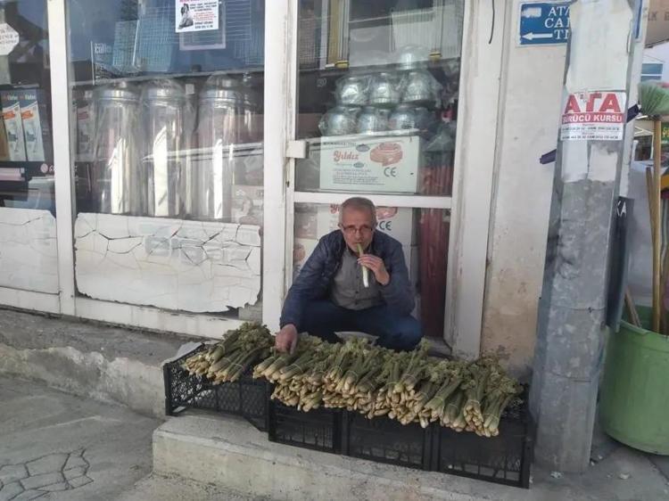 Avrupa bu bitki için sıraya girdi Anadolu’nun yüksek yaylalarında yetişiyor: Doğal kortizon etkisi yaratıyor