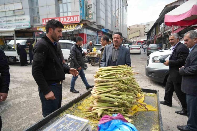Avrupa bu bitki için sıraya girdi Anadolu’nun yüksek yaylalarında yetişiyor: Doğal kortizon etkisi yaratıyor