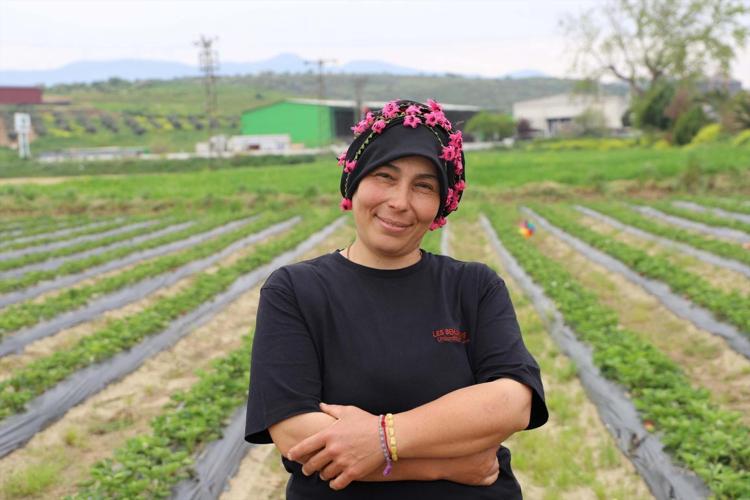 İzmirde hasadı başladı 3 üreticiyle başladı, 7 kadına ulaşmayı başardı