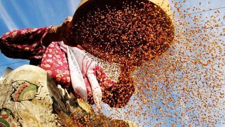 C VİTAMİNİYLE TAÇLANDIRIN: