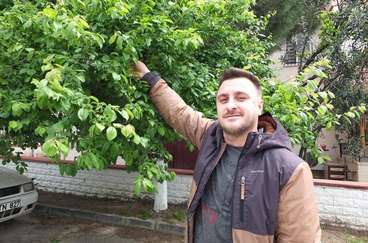 Balıkesirde ilk hasadı yapıldı Kütür kütür, taze ve lezzetli