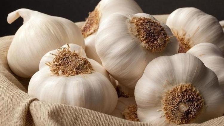 TasteAtlas Açıkladı: Dünyanın en kaliteli sarımsakları arasında Türkiye damgası