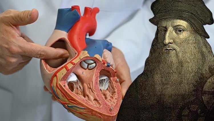 İnsanlığı kurtaracak sır ortaya çıktı Gizemli ağlar şeklinde ilerliyor, Leonardo Da Vinci tam 500 yıl önce çizmiş