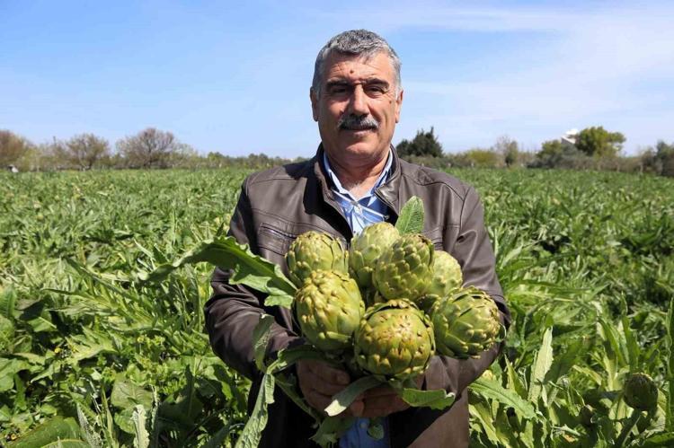 TALEPLER TARLADA KARŞILANIYOR