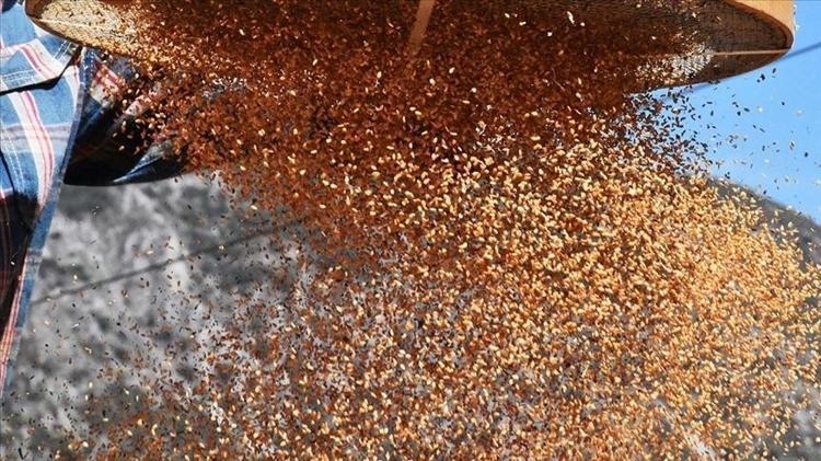 İnek sütünden 10 kat daha faydalı Kemikleri beton gibi güçlendirip damar sertliğini engelliyor