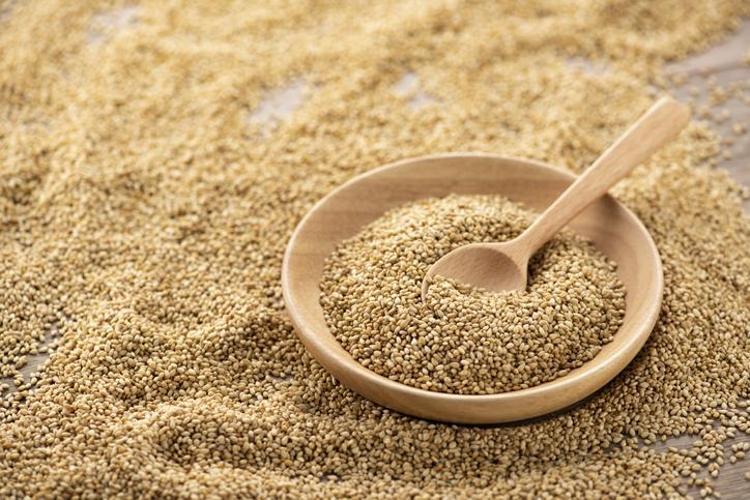 İnek sütünden 10 kat daha faydalı Kemikleri beton gibi güçlendirip damar sertliğini engelliyor