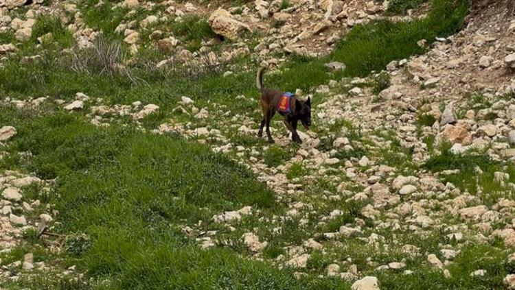 Gülistan Dokunun mezar yeri aranıyor Yeraltı radarları devrede: Mağaralar taranıyor