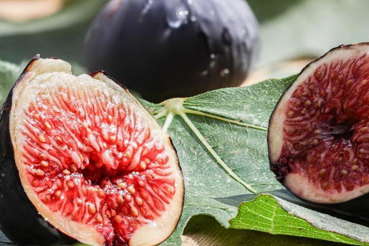 ALKALİ ETKİSİYLE DENGELENEN BOŞALTIM SİSTEMİ