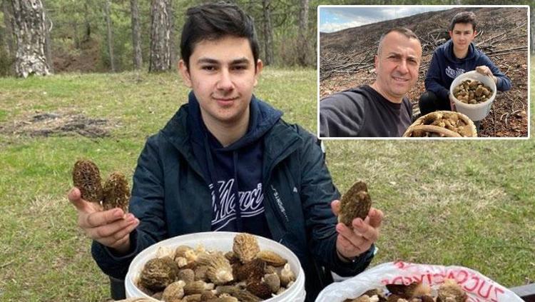 Ormanlık alanda adeta hazine buldular Görenleri hayrete düşürdüler: Baba ve oğlunu yüzünü güldüren doğal servet