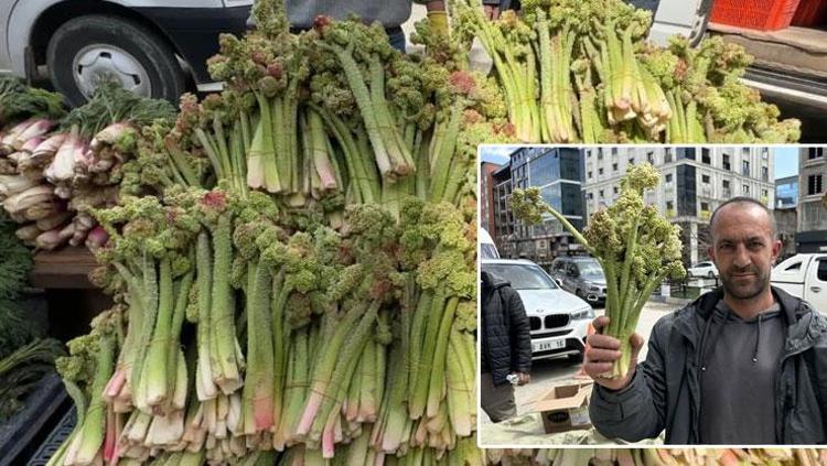 Doğanın şifa deposu tezgaha indi Destesi 150 TLden satılıyor: Yayla muzu olarak da biliniyor