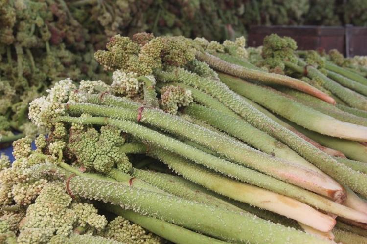 Doğanın şifa deposu tezgaha indi Destesi 150 TLden satılıyor: Yayla muzu olarak da biliniyor