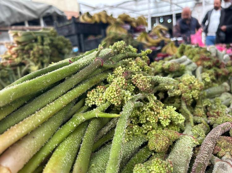 ŞİFA KAYNAĞI OLARAK TÜKETİLİYOR