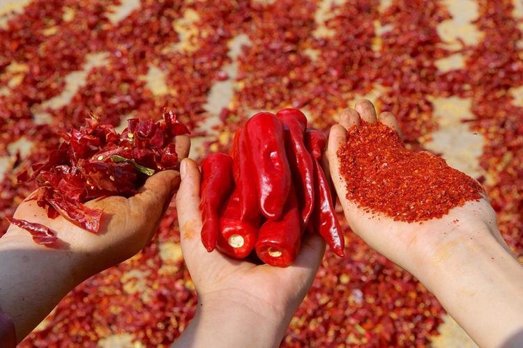 11 BİN KİŞİLİK DEV VERİ SETİ İNCELENDİ