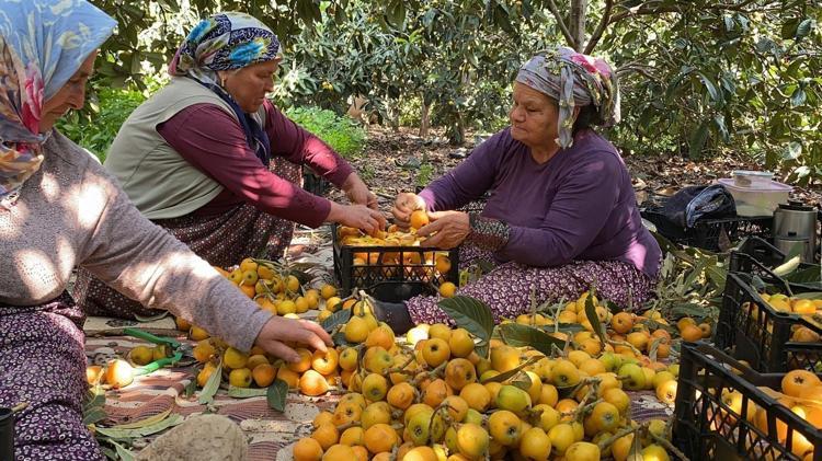 İÇ PAZARA 50-100 TL, DIŞ PAZARA 3,5-4 DOLARA GİDİYOR