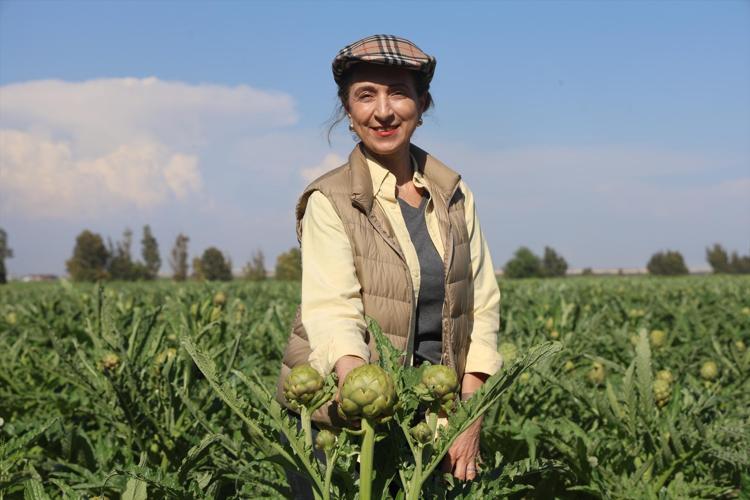 Hatay’da 7 yıllık emek meyvesini verdi 70 derdin devasında hasat başladı