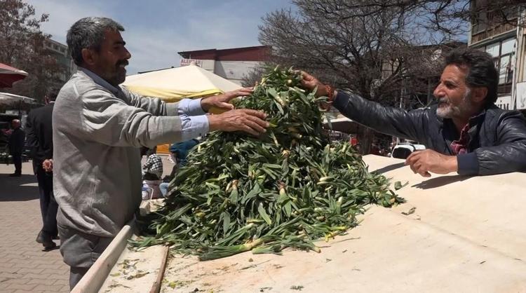 Yaban pırasası değil şifa deposu: Doğada kendiliğinden yetişen bu otu toplayan köşeyi dönüyor