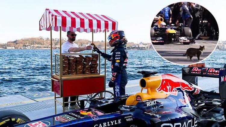 Formula 1 pilotuna selam veren sokak kedisi kalpleri eritti Dünya bu görüntüleri konuşuyor: İstanbulda sıradan bir gün