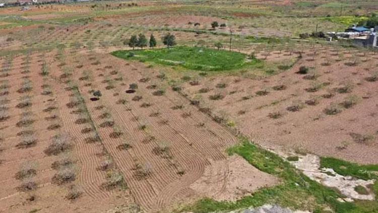 Dünyanın gözü Şanlıurfada Geri sayım başladı: Ne kadar sürerse sürsün