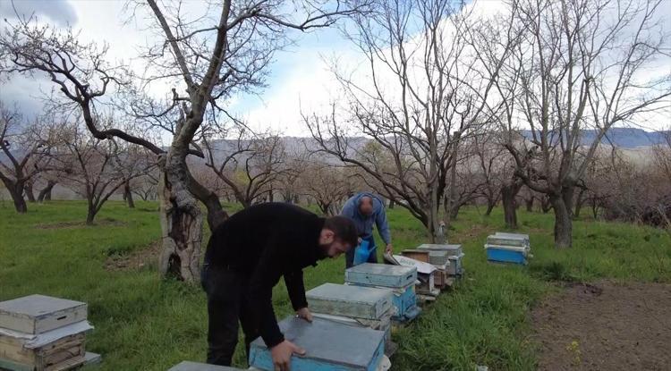 Dede mesleği baharın gelişiyle canlandı Sofralar tatlansın diye arıcılar azimle çalışıyor