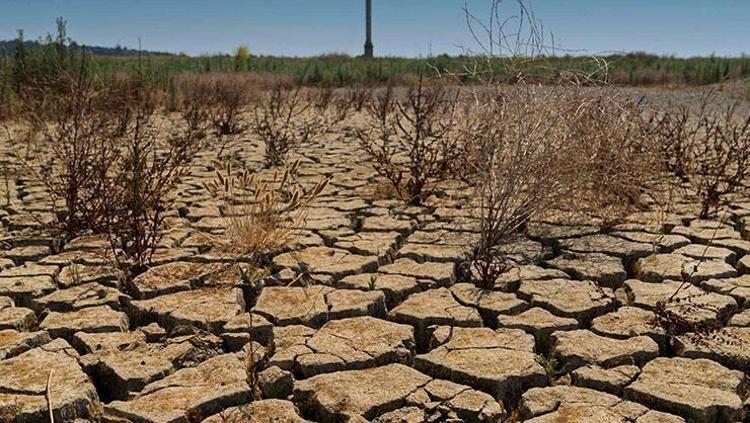 Türkiye için kritik sıcaklık uyarısı: 2040tan sonra geri dönüş olmayabilir