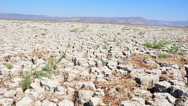 Türkiye için kritik sıcaklık uyarısı: 2040tan sonra geri dönüş olmayabilir