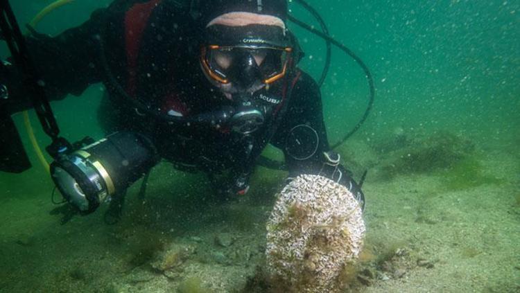 Marmara’da umut veren keşif Yok oluşun eşiğinden geri döndü