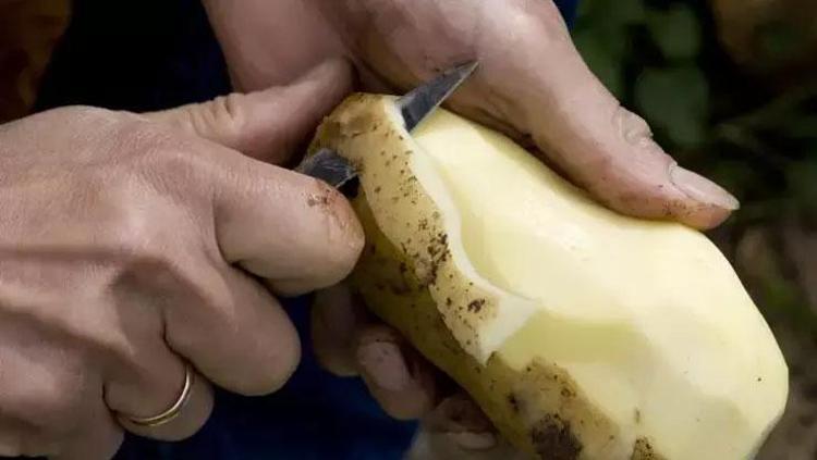 DOĞAL KORUMA KALKANI OLUŞTURUN