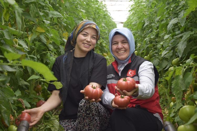 Üretime kadın eli değdi bereket arttı O ilçede yıllık 550 bin ton hasat ediliyor