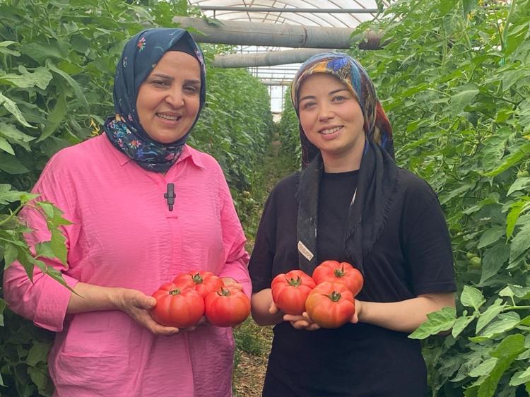 Üretime kadın eli değdi bereket arttı O ilçede yıllık 550 bin ton hasat ediliyor