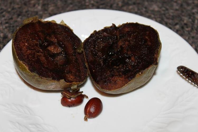 Dışı domates içi bildiğimiz çikolata Ağaçta hazır puding yetişiyor...