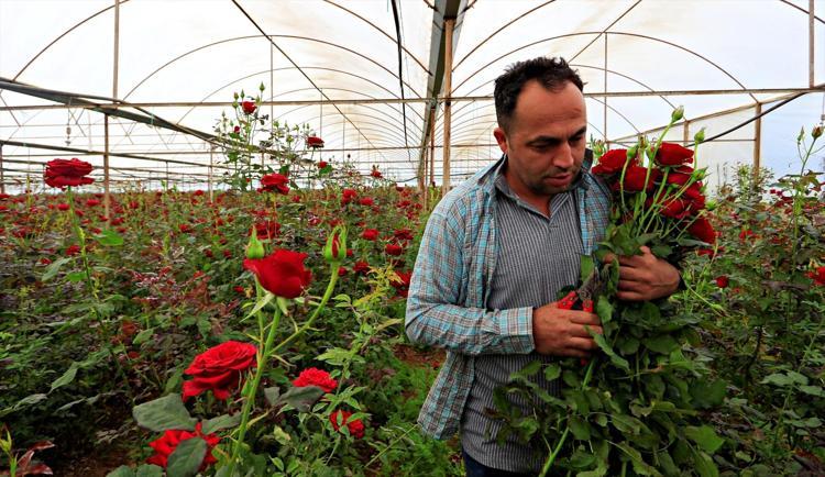 Talep var ama kazanç yok Aradaki fark dudak uçuklattı: Serada 10, vitrinde 200 TL