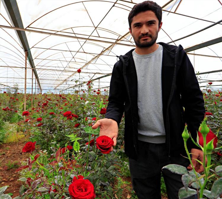 Talep var ama kazanç yok Aradaki fark dudak uçuklattı: Serada 10, vitrinde 200 TL