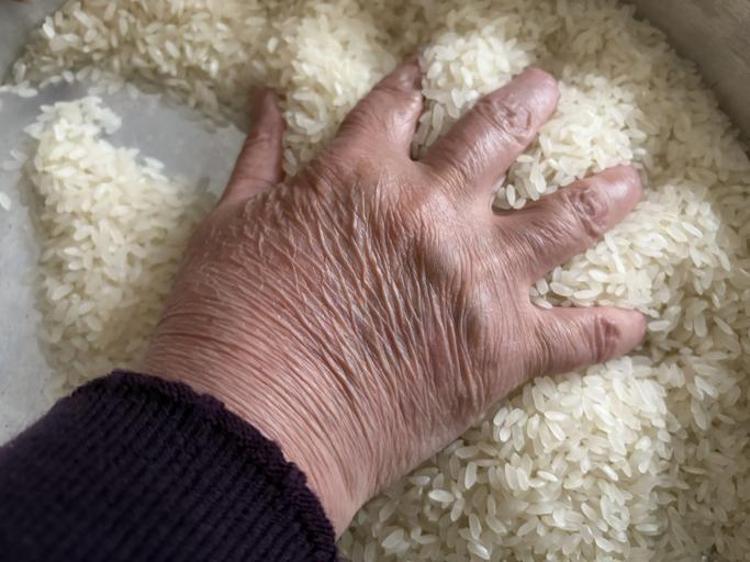 Kokuyu saniyeler içinde yok ediyor: Basmati pirinç pişirirken mutlaka yapmanız gereken o adım