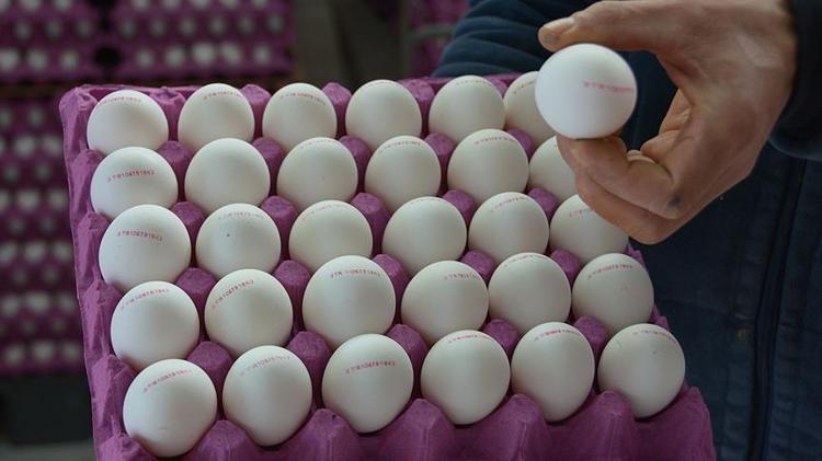 Kullanmadan önce mutlaka yıkayın Meğer şifa değil zehir saçıyormuş