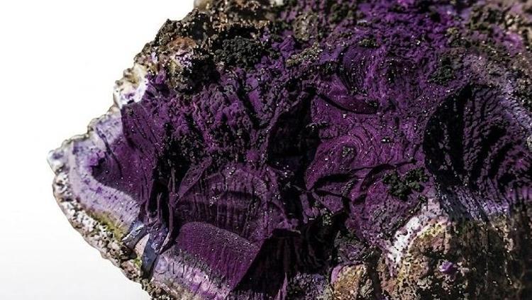 Bebek mezarında ortaya çıktı Görenleri şaşkına çeviriyor