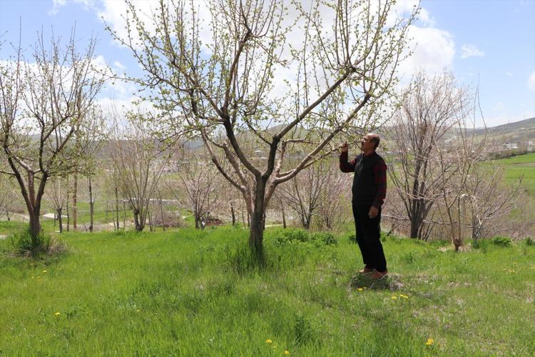 40 dakikalık mesafeyi 40 saniyeye indirdi Bahçesine öyle bir sistem kurdu ki...