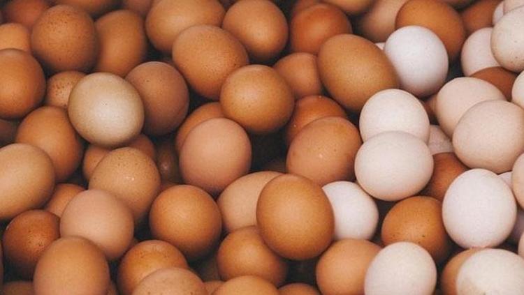 KAHVALTI SOFRALARININ VAZGEÇİLMEZİ: YUMURTA