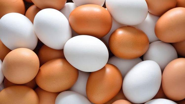 YUMURTAYI PİŞİRMEDEN ÖNCE BU TESTLERİ UYGULAYIN
