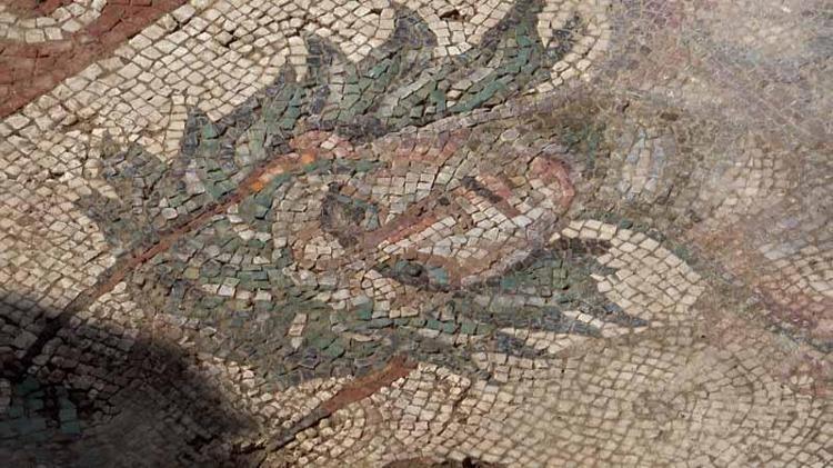 Zeugmanın tahtı sallanıyor Tokatta bulunan mozaik Çingene Kızını gölgede bırakabilir