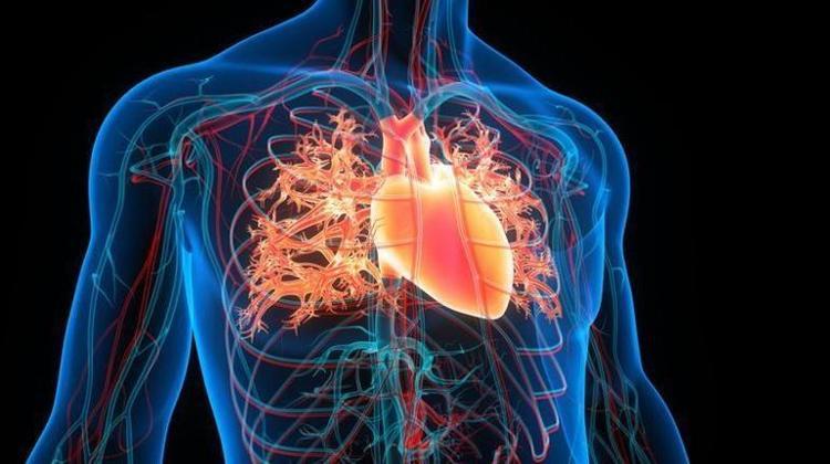 KALBİNİZİ KORUMAK İÇİN KÜÇÜK İPUÇLARI