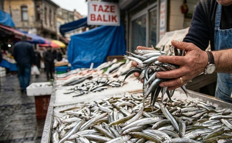 Tezgaha indiği an bitiyor Eczaneye değil balıkçıya koşun: Kemikleri çelik gibi yapıyor