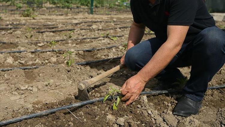 “TARIM ARAZİLERİ KORUNMALI”