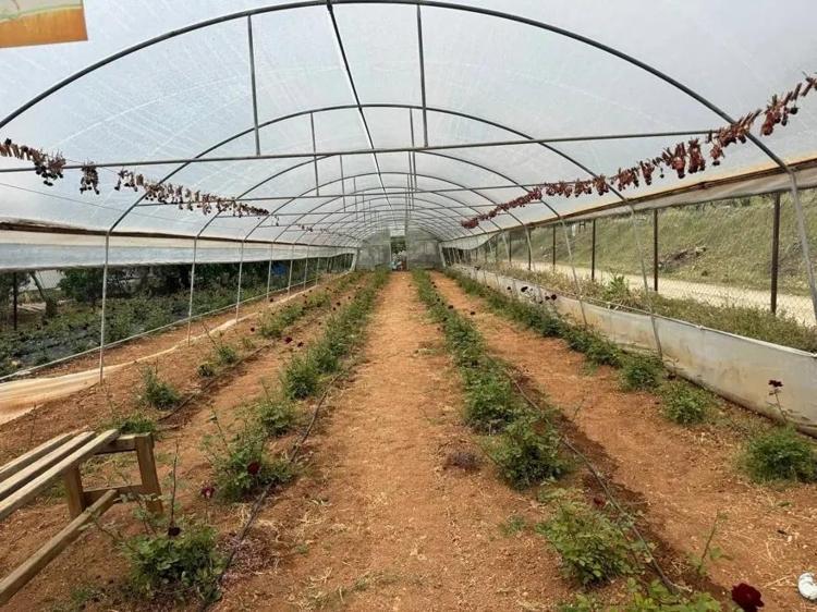 HASAT HEYECANI: TURİZMİN YENİ LOKOMOTİFİ