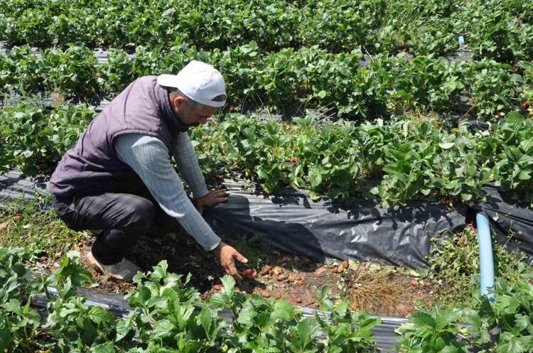 DOĞALLIĞIYLA FARK YARATIYOR