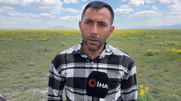 Doğada görürseniz sakın koparmayın Cezası dudak uçuklatıyor