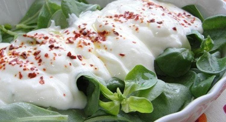 Yaz aylarının favori bitkisi Yoğurtla karıştırıp kaşık kaşık yiyince kemikleri beton gibi yapıyor