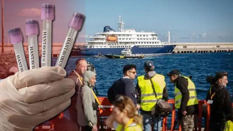 Hantavirüs sır değil 6 iddia yanıtlandı: D vitamini gerçeği