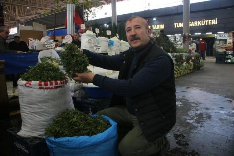 Tek tek jiletle toplanıyor Tezgahta yerini aldı, kilosu 200 TLden satılıyor Bağırsakların en iyi dostu
