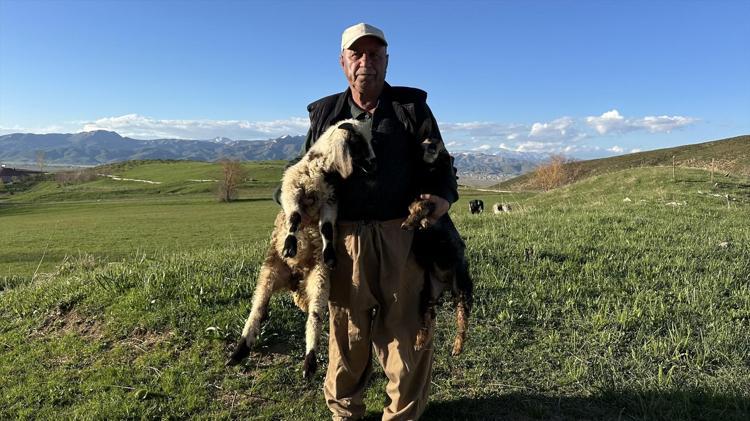 BİBERONLA BESLİYOR, GÖZÜ GİBİ BAKIYOR